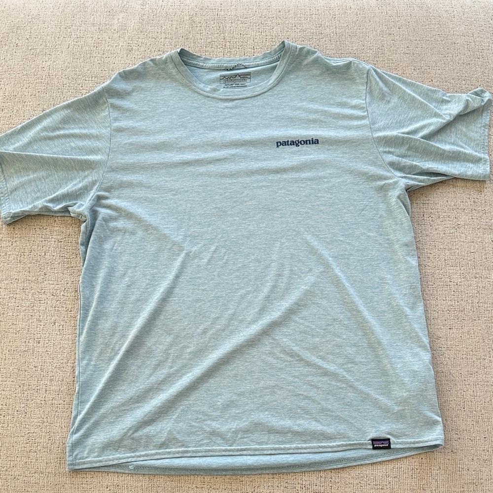 Patagonia Men's Sky Blue Short Sleeve Tee